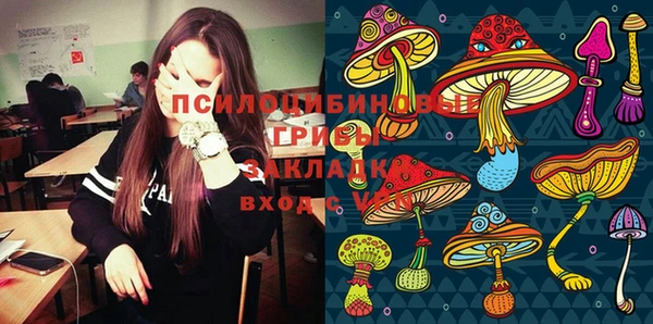 ECSTASY Армянск