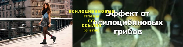ECSTASY Армянск