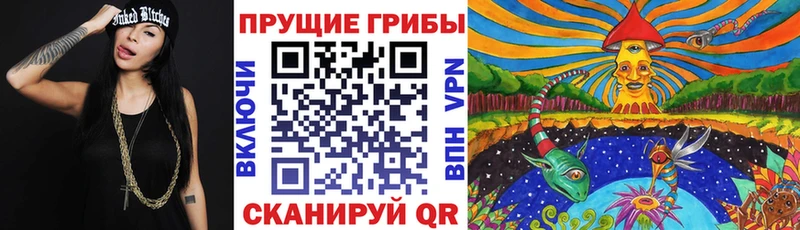 что такое наркотик  Ельня  Галлюциногенные грибы Psilocybine cubensis 